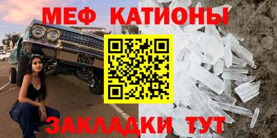 прущие грибы Ярославль
