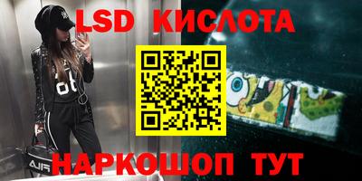 прущие грибы Ярославль