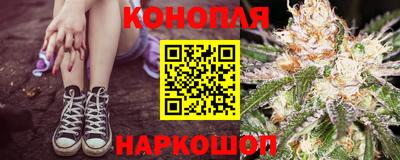прущие грибы Ярославль
