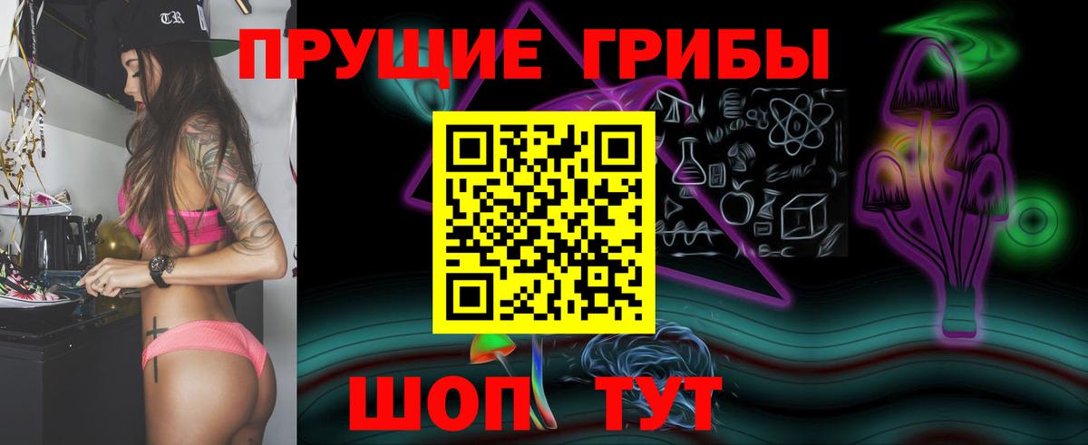 Псилоцибиновые грибы MAGIC MUSHROOMS  Вход с VPN  Междуреченск  Галлюциногенные грибы Psilocybe 